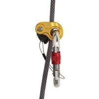 Wild Country Ropeman 2 on rope