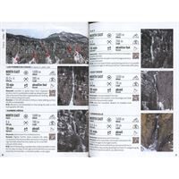 alpineicev1pages2