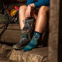 Darn Tough Women's Critter Club Micro Crew Lightweight Hiking Sock