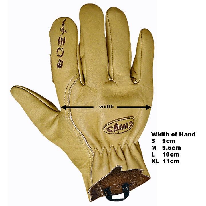 Beal Assure Max Glove