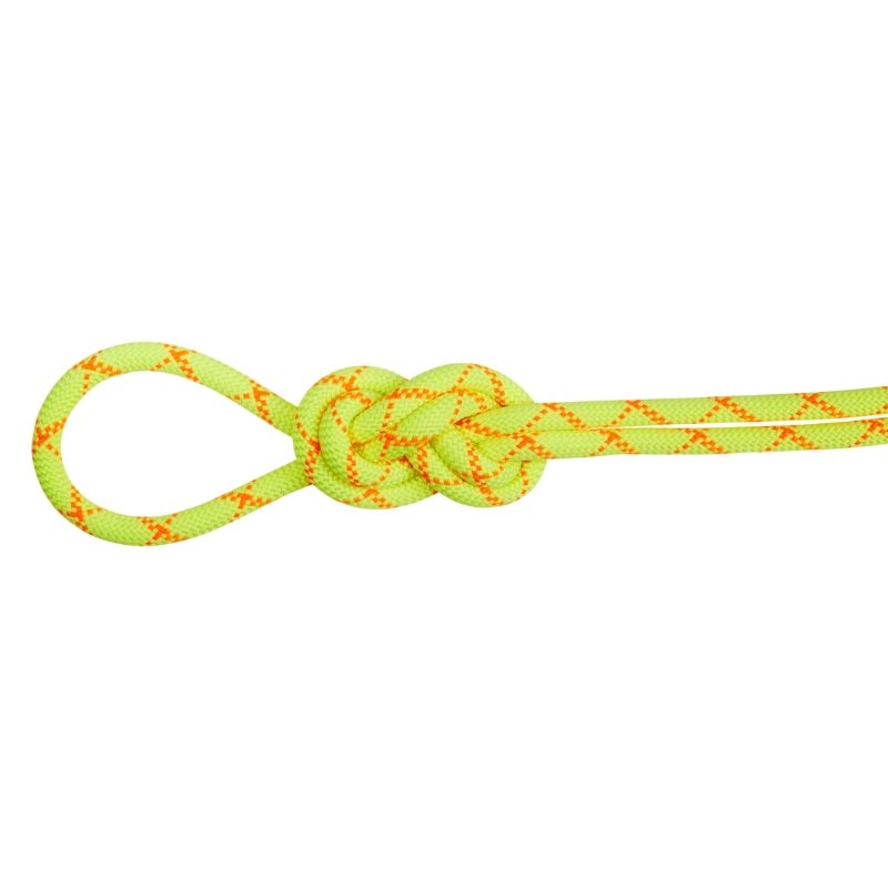 Mammut 9.5mm Alpine Core Protect Dry Rope