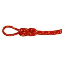 Mammut 8mm Alpine Core Protect Dry Rope