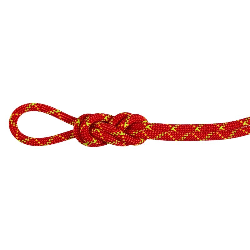 Mammut 8mm Alpine Core Protect Dry Rope