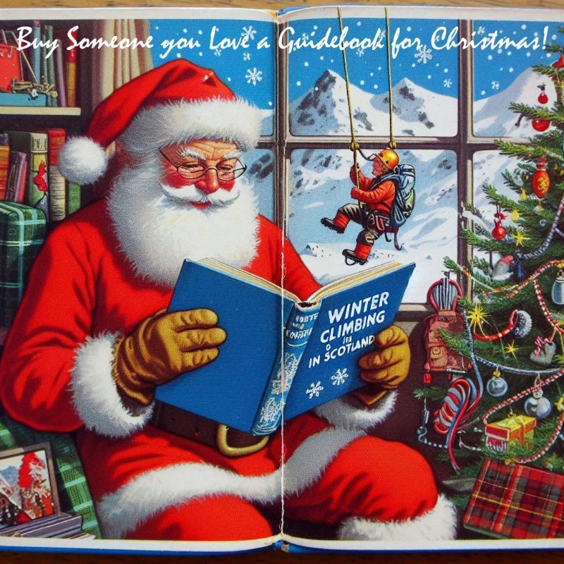 Christmas Guidebook