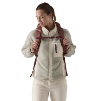 Patagonia Black Hole Pack 32L