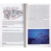 Mountaineering in Slovenia pages